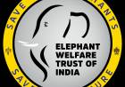 സഹായം വാഗ്ദാനം ചെയ്ത് ,തൃശൂർ എലിഫൻ്റ് വെൽഫയർ ട്രസ്റ്റും,