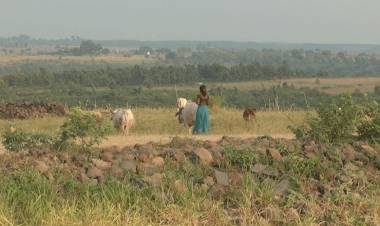 ആദിവാസി യുവ ഉദ്യോഗസ്ഥയുടെ ജീവൻ അപകടത്തിൽ. രാഷ്ട്രീയ-ഉദ്യോഗസ്ഥ മാഫിയകളുടെ പീഢനം അതിരുകടന്നു