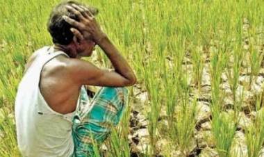 കർഷകസമരം ഇന്ന് നിർണായക ചർച്ച:  സമവായമാർഗം തേടി സർക്കാർ