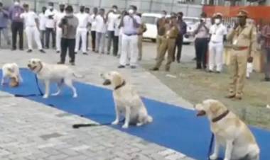 എത്ര നിഗൂഢമായാലും           "ഇവര്‍"             കണ്ടെത്തും...