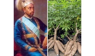 മരച്ചീനിയും വിശാഖം തിരുനാൾ മഹാരാജാവും