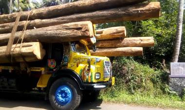                  തടി​കേടാക്കും തടി​ലോറി​കള്‍...        നി​രത്തുകള്‍ കൊലക്കളങ്ങളാകുന്നു...