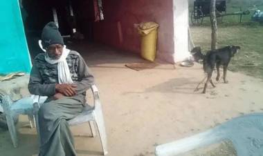 മകന്റെ സ്വഭാവത്തില്‍ അതൃപ്തി; സമ്പത്തിന്‍റെ പകുതി വളര്‍ത്തുനായക്ക് എഴുതിവച്ച്‌ കര്‍ഷകന്‍