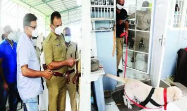 പുതുവത്സര രാത്രിയില്‍ വീട്‌ കുത്തിത്തുറന്ന്‌ മോഷണം' നഷ്‌ടമായത്‌ 11.11 ലക്ഷത്തിന്റെ സ്വര്‍ണാഭരണങ്ങള്‍