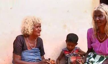 ഭൂപരിഷ്കരണത്തിലൂടെ ചതിക്കപ്പെട്ടവർ: കൊടി പിടിക്കാൻ വിധിക്കപ്പെട്ടവർ- അജിതാ ജയ്ഷോര്