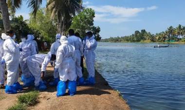 പക്ഷിപ്പനി: കർമ പദ്ധതിക്കനുസരിച്ച് നീങ്ങാൻ കേന്ദ്ര നിർദേശം