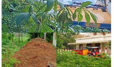 ഭൂമാഫിയകൾക്ക് ഉണർത്ത് പാട്ടുമായി ചാലക്കുടി നഗരസഭ  - അജിതാ  ജയ്ഷോർ