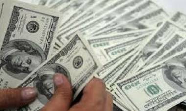 ഡോളര്‍ കടത്ത് കേസില്‍ സംസ്ഥാന പ്രോട്ടോകോള്‍ ഓഫീസര്‍ ഷൈന്‍ എ. ഹക്കിനെ കസ്റ്റംസ് ഇന്ന് ചോദ്യം ചെയ്യും