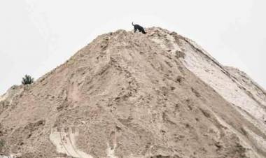 ആറാട്ടുപുഴയില്‍ കരിമണലിന് വീണ്ടും 'ചൂടുപിടിക്കുന്നു'