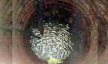 കിണറ്റില്‍ തിരയിളക്കം; വീട്ടുകാര്‍ പരിഭ്രാന്തിയില്‍