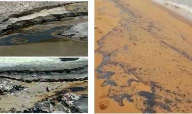 വേളി ടൈറ്റാനിയം ഫാക്ടറിയില്‍ പൈപ്പ് പൊട്ടി; എണ്ണച്ചോര്‍ച്ച കടലിലേക്ക്, മീനുകള്‍ ചത്തുപൊങ്ങി