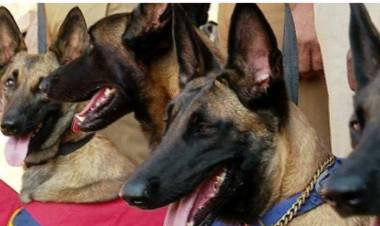 പരിശീലനം തീരുംമുമ്ബേ താരമായവര്‍ പൊലീസ് സേനയുടെ ഭാഗമാകുന്നു