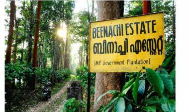 ഒടുവില്‍ മധ്യപ്രദേശ് സര്‍ക്കാരിന്റെ പച്ചക്കൊടി ബീനാച്ചി എസ്റ്റേറ്റ് കേരളത്തിന്
