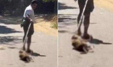 വീണ്ടും കണ്ണില്ലാത്ത ക്രൂരത; നായയെ അടിച്ച് പരിക്കേല്പ്പിച്ച് കുരുക്കിട്ട് റോഡിലൂടെ വലിച്ചിഴച്ചു; ഒരാള്ക്കെതിരെ കേസെടുത്തു