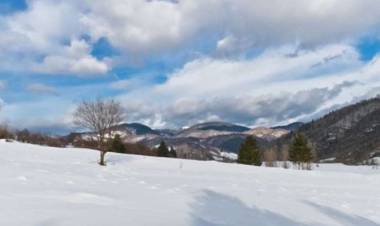 അതി ശൈത്യം: അമേരിക്കയിലെ തെക്കുകിഴക്കന്‍ സംസ്ഥാനങ്ങള്‍ നിഴ്ചലം, മരണം 21, വൈദ്യുതി, ഇന്റര്‍നെറ്റ് ബന്ധങ്ങള്‍ തകര്‍ന്നു
