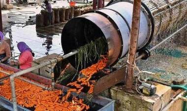 മ​ലി​ന​ജ​ലം ജ​ല​േ​സ്രാ​ത​സ്സു​ക​ളി​ലേ​ക്ക്​; കാ​ര​റ്റ് ക​ഴു​കു​ന്ന യ​ന്ത്ര​ങ്ങ​ള്‍​ സീ​ല്‍​വെ​ച്ചു