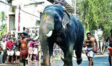 ഗുരുവായൂരില്‍ ഇന്ന് കൊടിയേറും; കൊവിഡ് നിയന്ത്രണങ്ങളോടെ ആനയോട്ടം