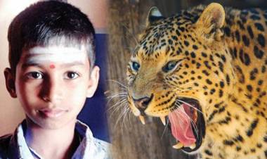 ഇവനാണ് സാക്ഷാല്‍ 'പുലി നന്ദന്‍' കടിച്ച്‌ കുടഞ്ഞ പുള്ളിപ്പുലിയുടെ കണ്ണില്‍ വിരല്‍കുത്തിയിറക്കി 12കാരന്‍