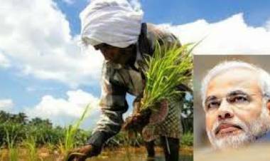 വിള ഇന്‍ഷുറന്‍സ് കേന്ദ്രം 133.26 കോടി നല്‍കി,കിട്ടിയത് 1.56 ലക്ഷം കര്‍ഷകര്‍ക്ക് 