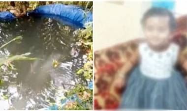 ഇടുക്കിയില്‍ ഒരു വയസ്സുകാരിയെ പടുതാക്കുളത്തില്‍ മരിച്ച നിലയില്‍ കണ്ടെത്തിയ സംഭവത്തില്‍ ദുരൂഹത