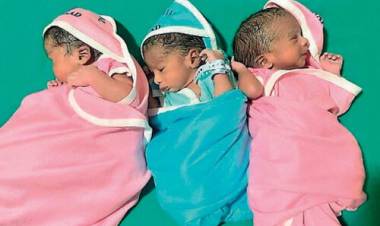 കാ​ത്തി​രി​പ്പി​നൊ​ടു​വി​ല്‍ പി​റ​ന്ന​ത്​ ഒ​റ്റ പ്ര​സ​വ​ത്തി​ല്‍ മൂ​ന്ന് ക​ണ്‍​മ​ണി​ക​ള്‍