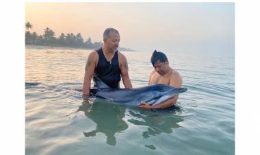 തിമിംഗലങ്ങളുടെ രക്ഷകനായ് വിൽഫ്രഡ്, കൊച്ചിയിൽ