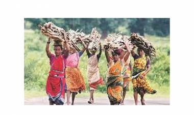 ആദിവാസികളെ ചൂഷണം ചെയ്യുന്നത്, സർക്കാർ ഉദ്യോഗസ്ഥർ? കണ്ണടച്ച് ഇരുട്ടാക്കി പൊട്ടൻ കളിച്ച് കമ്മീഷനുകൾ