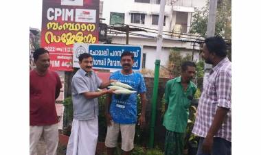 കാസ്ട്രോ ബ്രദേഴ്സിൻ്റെ വിളവെടുപ്പിൽ, സമൃദ്ധിയോടെ പച്ചക്കറികൾ