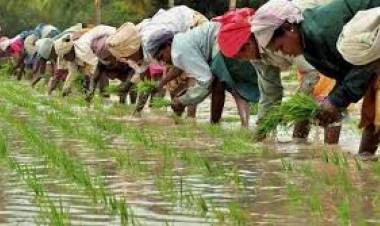 കാര്‍ഷിക വായ്പകള്‍ക്ക് പ്രതിവര്‍ഷം ഒന്നരശതമാനം പലിശയിളവ് പ്രഖ്യാപിച്ച് കേന്ദ്രം