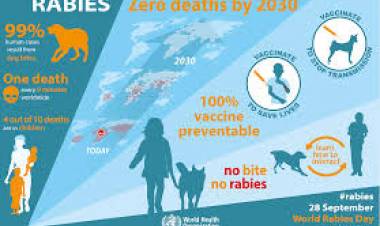 തെരുവുനായകള്‍ക്ക് പേവിഷ പ്രതിരോധ വാക്‌സിന്‍ നല്‍കുകയാണ് ഏറ്റവും അടിയന്തരമായി നടപ്പാക്കേണ്ട നടപടി