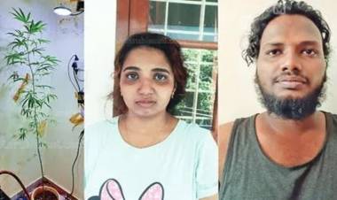 എന്താ അല്ലേ ; ഫ്‌ളാറ്റിലെ അടുക്കളയില്‍ കഞ്ചാവ് ചെടി വളര്‍ത്തല്‍: യുവാവും യുവതിയും പിടിയില്‍