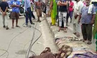 ഡിവൈഡറില്‍ ഉറങ്ങിക്കിടന്നവരുടെ മുകളിലേക്ക് ട്രക്ക് പാഞ്ഞുകയറി നാല് പേര്‍ മരിച്ചു