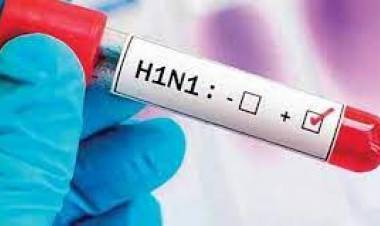 തെലങ്കാനയിലെ വിദ്യാര്‍ത്ഥിക്ക് പന്നിപ്പനി സ്ഥിരീകരിച്ചു ; അടുത്തിടപഴകിയവരെ ക്വാറന്റൈനില്‍ പ്രവേശിപ്പിച്ചു