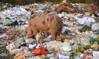 ബ്രഹ്മപുരം മാലിന്യം തിന്ന് കൊഴുക്കാൻ കേന്ദ്ര പദ്ധതി തകർത്ത, രാഷ്ട്രീയക്കാരും ചില സർക്കാർ ഉദ്യോഗസ്ഥരും,, , കൊച്ചിക്ക് നാണക്കേട്