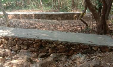 പാണിയേലി പോരിൻ്റെ പേരിൽ പണം കൊയ്യുന്ന വനം വകുപ്പ് ഉദ്യോഗസ്ഥരും, രാഷ്ട്രീയക്കാരും