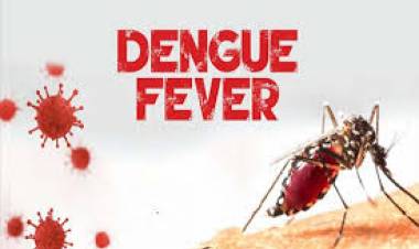 കൊച്ചിയെ ഡങ്കി പിടി മുറുക്കുന്നു, കോർപ്പറേഷൻ ആരോഗ്യരംഗം ആലസ്യത്തിൽ