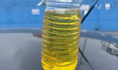 കരി ഓയിലിൽ നിന്നും മാരക വിഷ വെളിച്ചെണ്ണ വ്യാപകം,, ഉറവിടം, ആലുവ,?