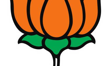 ദല്ലാളിൻ്റെ നാടകം, തിരശ്ശീലക്ക് പിന്നിൽ ബി.ജെ.പി, യിലെ നപുംസകങ്ങളൊ?