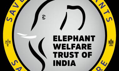സഹായം വാഗ്ദാനം ചെയ്ത് ,തൃശൂർ എലിഫൻ്റ് വെൽഫയർ ട്രസ്റ്റും,