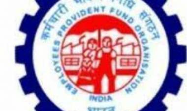 കൊച്ചിയിലെ പി.ഫ്, ഓഫീസ്, തൊഴിലാളികളെ കുരങ്ങു കളിപ്പിക്കുന്നു. കേന്ദ്ര പദ്ധതികൾ അട്ടിമറിക്കാൻ പി.എഫ്, കമ്മീഷണറും കൂട്ടുനിൽക്കുന്നുവോ?