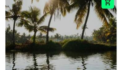 പൈതൃക പട്ടണത്തിൽ പണത്തിന് പകരം മസാജ് ചെയ്താൽ മതി, ഈ ജനപ്രതിനിധിയെ കൊണ്ട് പൊറുതിമുട്ടി, കച്ചവടക്കാർ