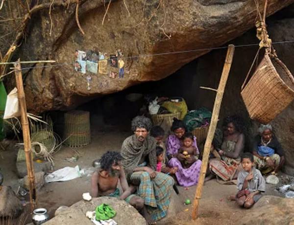 കേരളത്തിലെ 35 ആദിവാസി ഭാഷകളുടെ നില അപകടത്തിലെന്ന് കേന്ദ്ര സര്‍വകലാശാലയിലെ സെൻറര്‍ ഫോര്‍ എന്‍ഡെയ്ഞ്ചേഡ് ലാംഗ്വേജസ് പഠനം