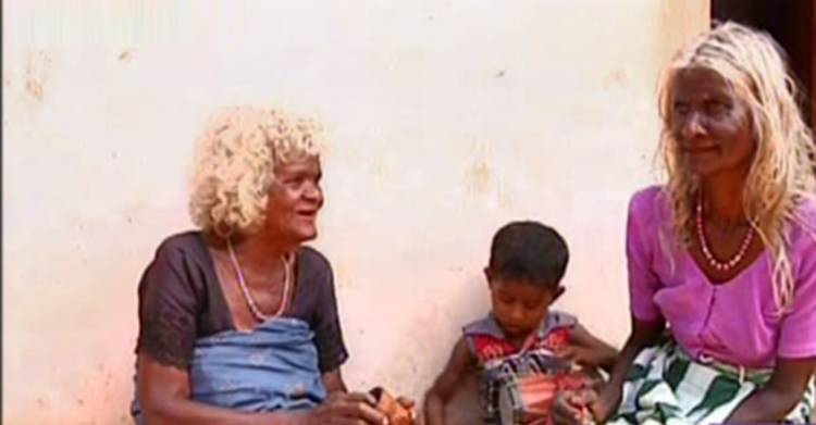 ഭൂപരിഷ്കരണത്തിലൂടെ ചതിക്കപ്പെട്ടവർ: കൊടി പിടിക്കാൻ വിധിക്കപ്പെട്ടവർ- അജിതാ ജയ്‌ഷോര്‍ 