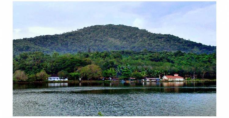 മലയാറ്റൂരിൽ പാർക്കിന് 65 ലക്ഷം അനുവദിച്ചു- അജിതാ ജയ്ഷോർ   