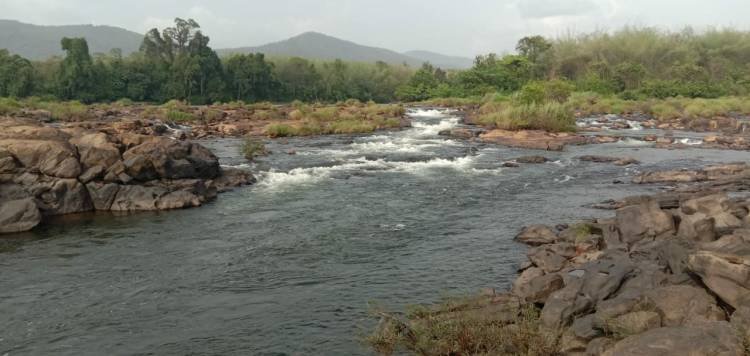 വിനോദ സഞ്ചാരികൾക്കുള്ള ഭക്ഷണം ശുദ്ധീകരിക്കാത്ത പുഴ വെള്ളത്തിൽ നിന്ന്